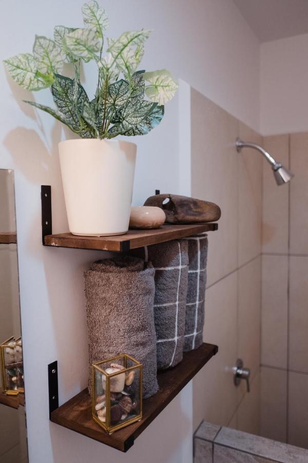 Departamento Vista Nova Culiacan Casas エクステリア 写真