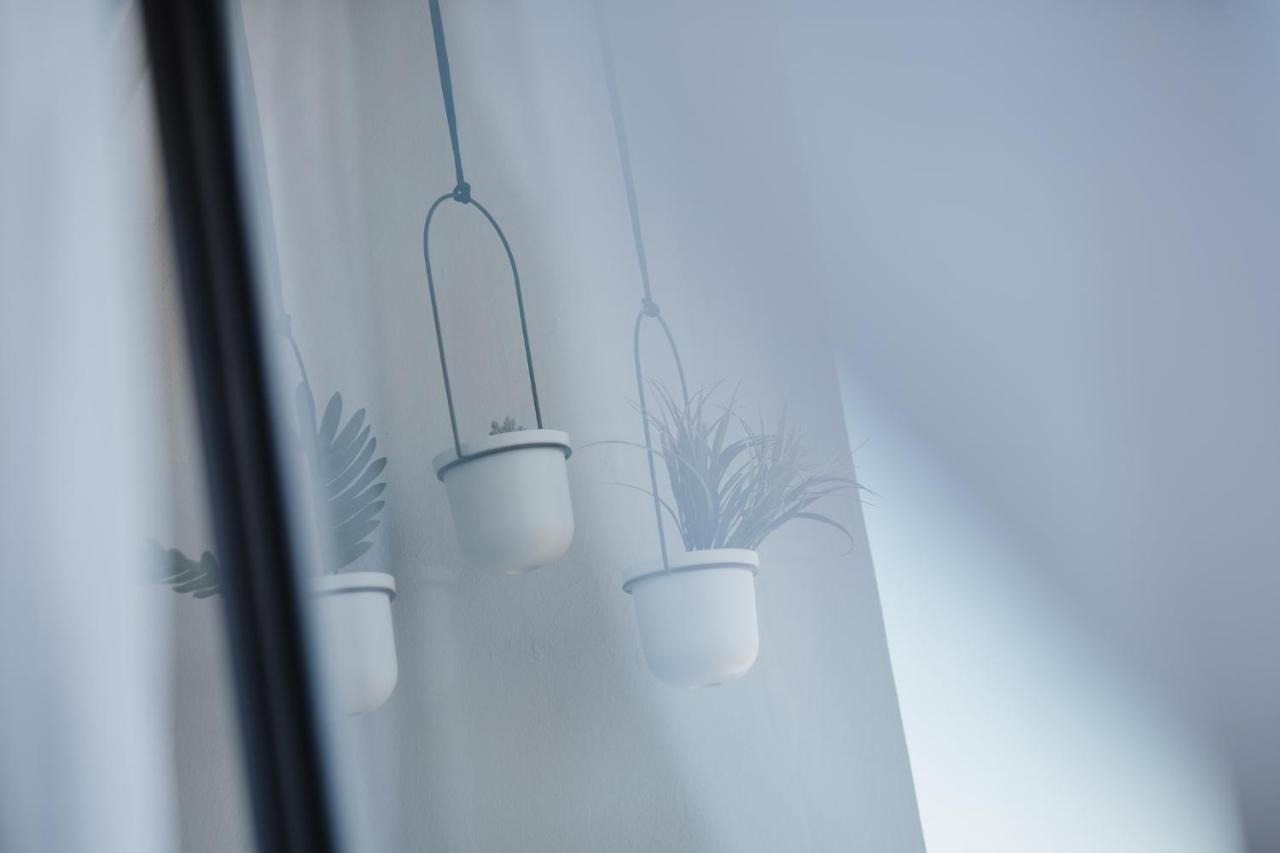 Departamento Vista Nova Culiacan Casas エクステリア 写真